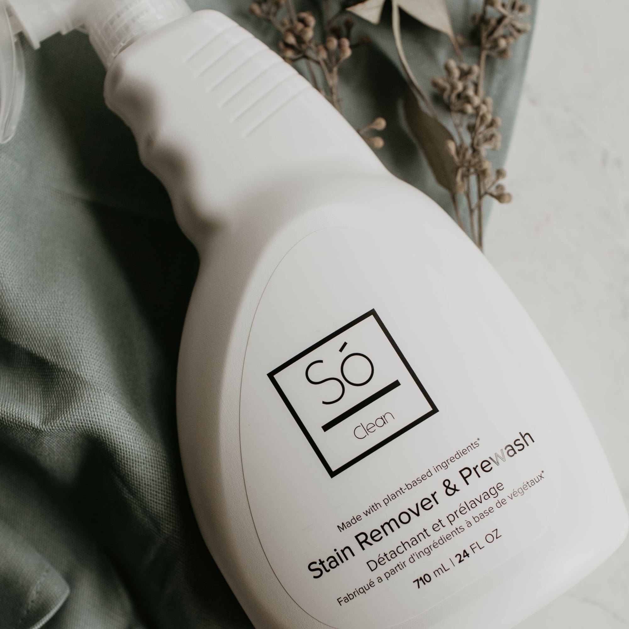 Clean - Stain Remover &amp; Prewash (Case)